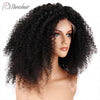 250% Density Malaysian Curly Lace Front. Wig - Wigs Pamshair