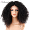 250% Density Malaysian Curly Lace Front. Wig - Wigs Pamshair