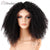 PAMS CURLY LACE FRONT WIG 250% DENSITY