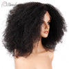 Malaysia Afro Kinky Lace Frontal Wig - Wigs Pamshair