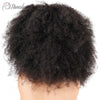 Malaysia Afro Kinky Lace Frontal Wig - Wigs Pamshair