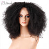 Malaysia Afro Kinky Lace Frontal Wig - Wigs Pamshair