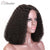 MALAYSIAN CURLY  LACE FRONT WIG 14"